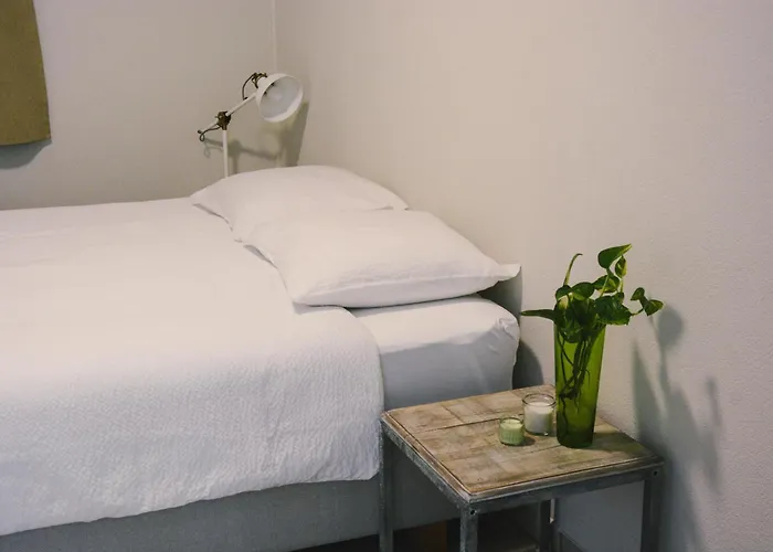 Alaia Hostel